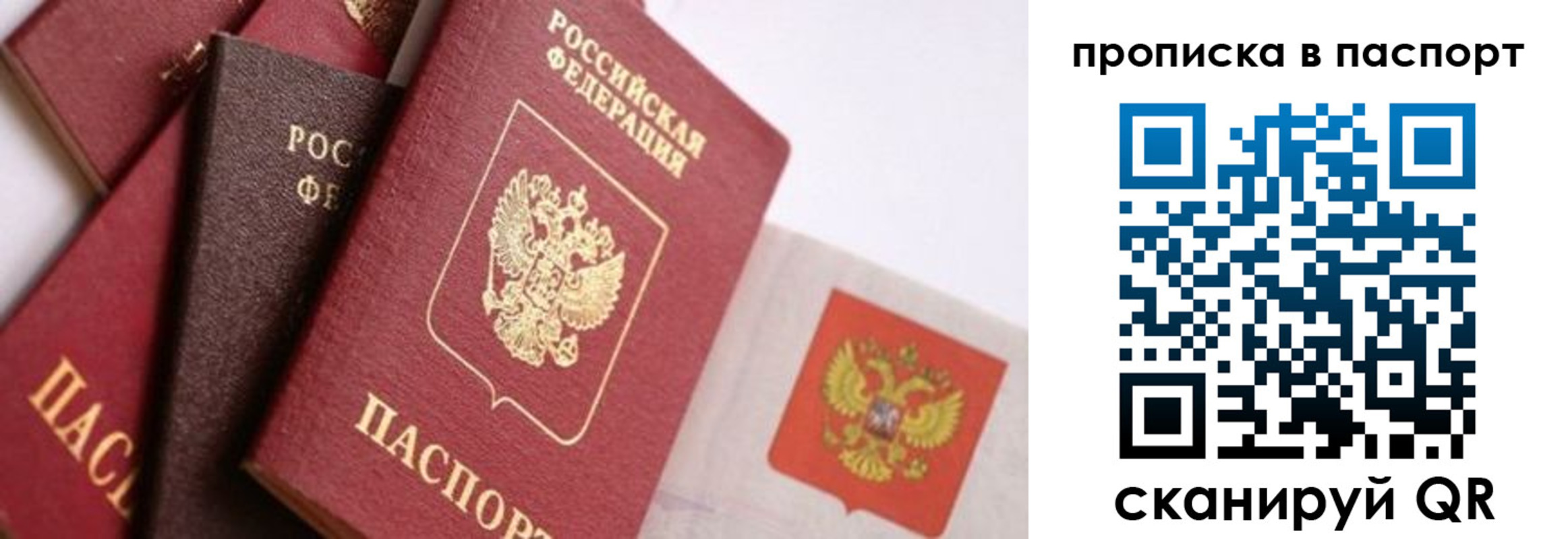 прописка штамп в Чите